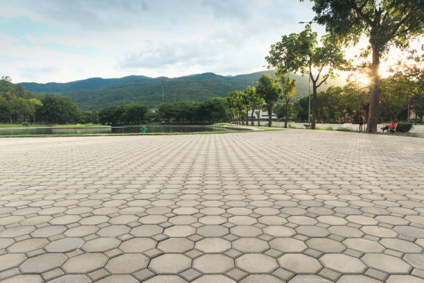 Best Professional Driveway Pavers  in Taylorsville, UT